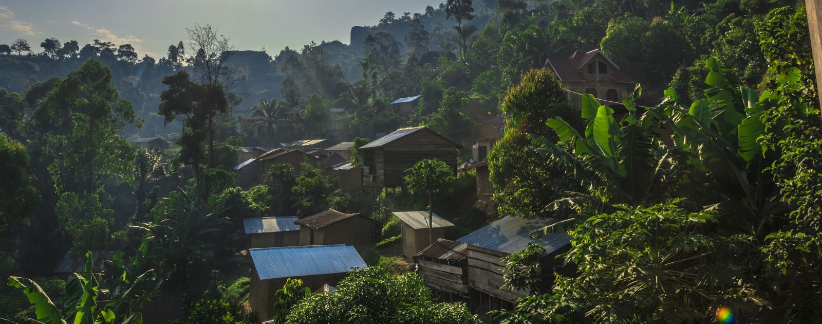 Monitoring Missions and Priorities in Democratic Republic of Congo